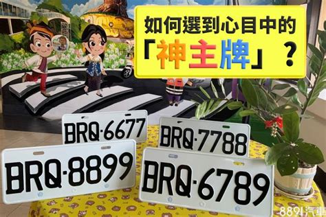 屬龍車牌號碼|十二生肖車牌號碼吉凶數字